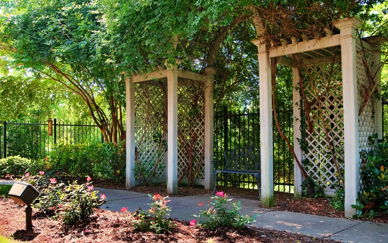 Outside the garden room at The Arbor, enjoy beautiful surroundings of nature.